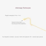 Emmele Pozłacany naszyjnik srebrny LAN5B